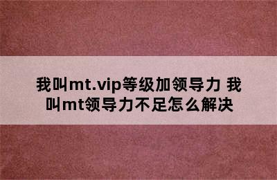 我叫mt.vip等级加领导力 我叫mt领导力不足怎么解决